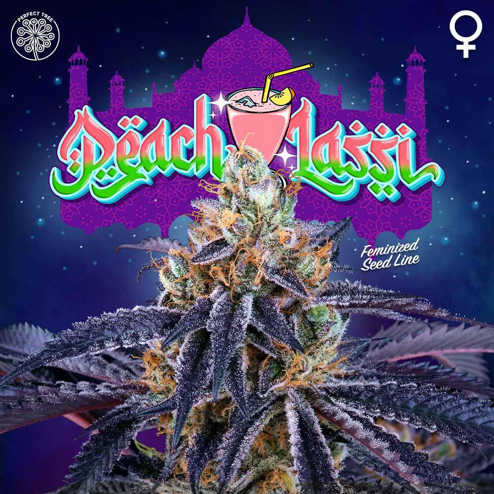 Peach Lassi + LH2P (Promo) - 420GEEKS
