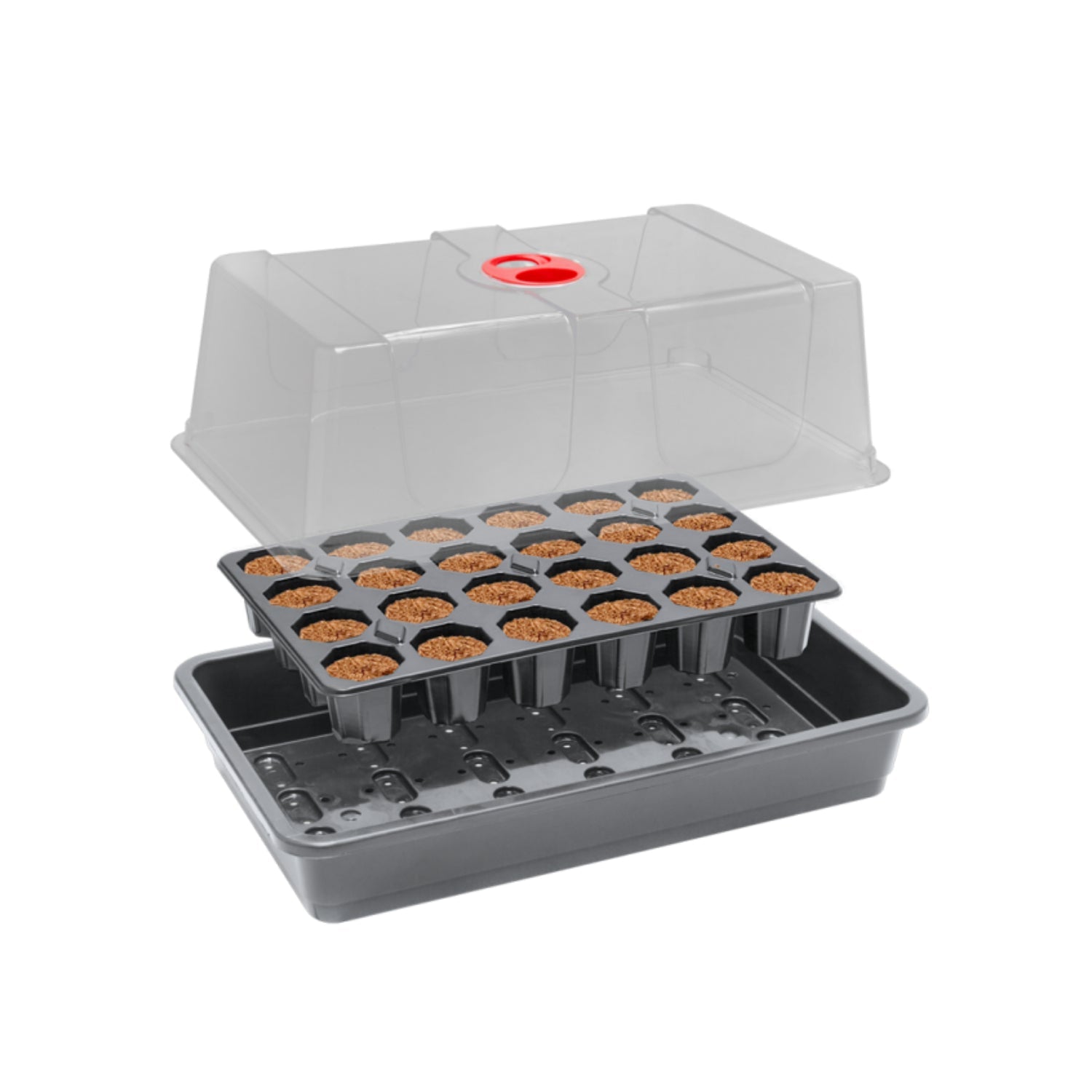 ROOT!T Anzucht-Set mit 24er Tray Anzuchtwürfel - 420GEEKS