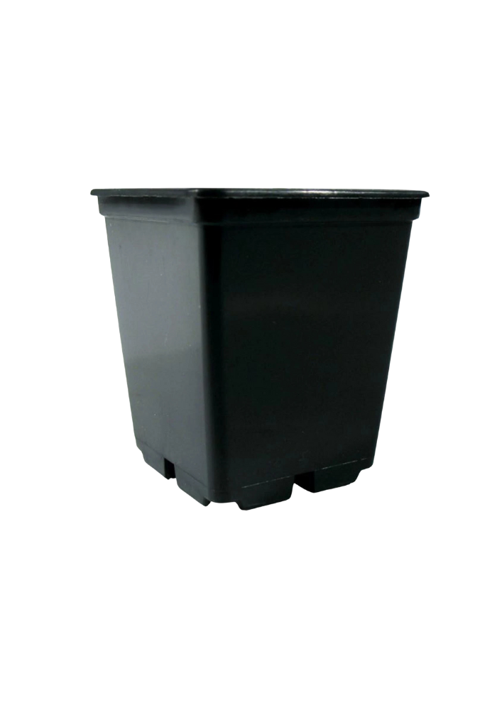 Potking Topf Schwarz 1l - 420GEEKS