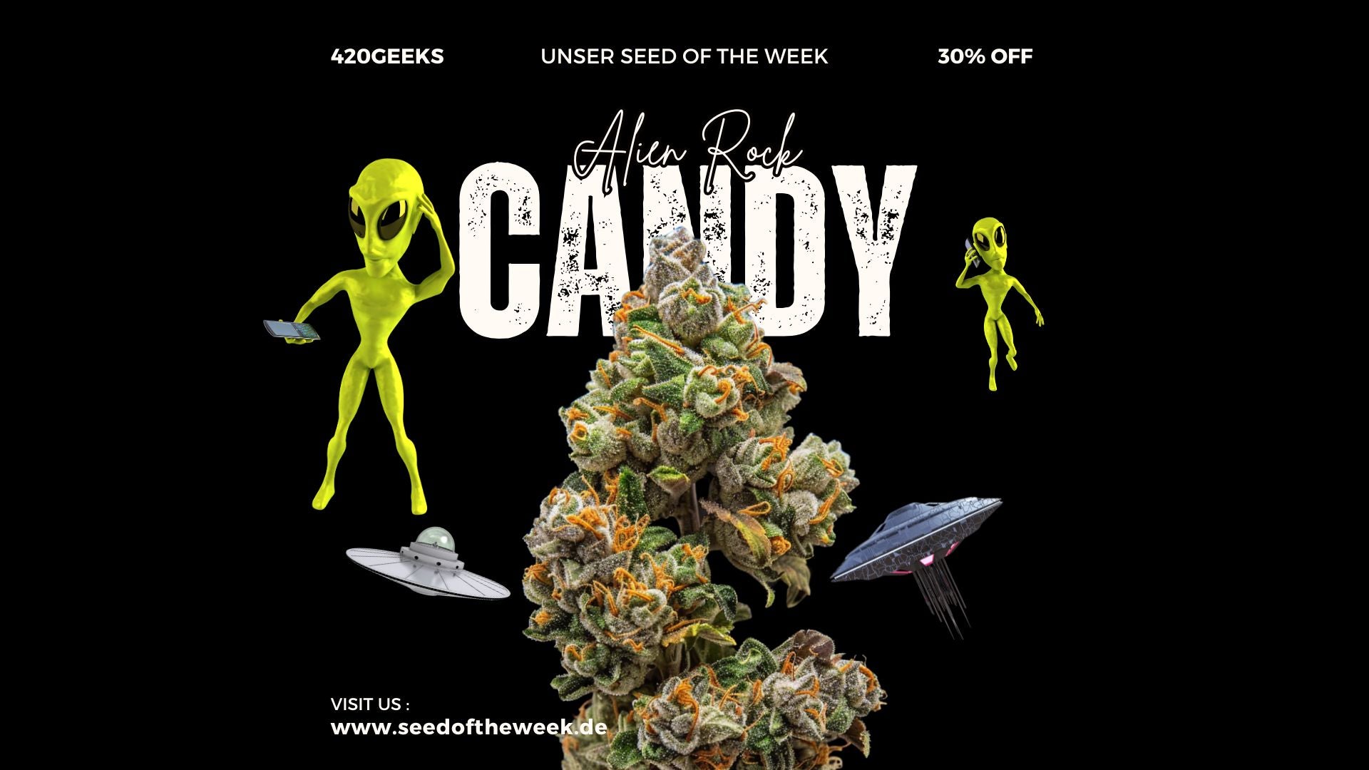 Der Seed of the Week mit 30% Rabatt