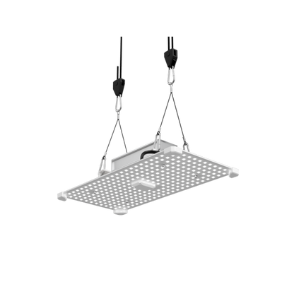 LUMii Black Blade LED