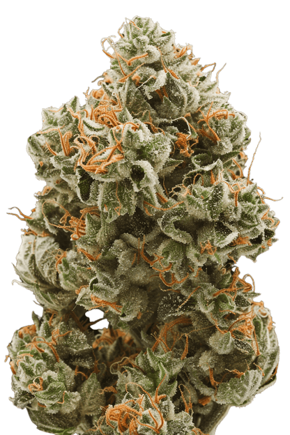 Pineapple Fruz