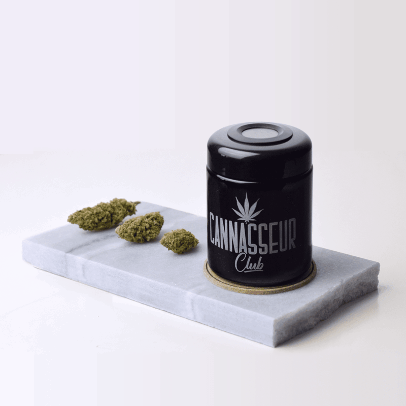 Humidor Cannasseur - 420GEEKS